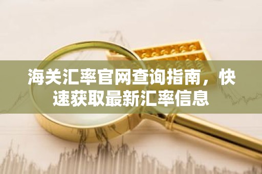 海关汇率官网查询指南，快速获取最新汇率信息
