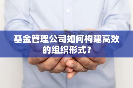 基金管理公司如何构建高效的组织形式？