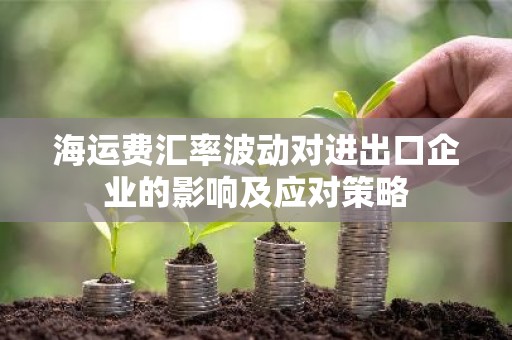 海运费汇率波动对进出口企业的影响及应对策略