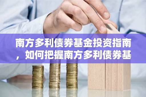 南方多利债券基金投资指南，如何把握南方多利债券基金的投资机会？