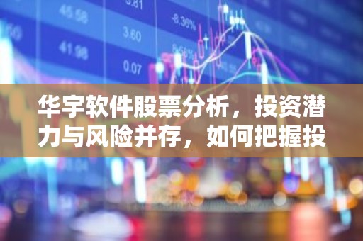 华宇软件股票分析，投资潜力与风险并存，如何把握投资时机？