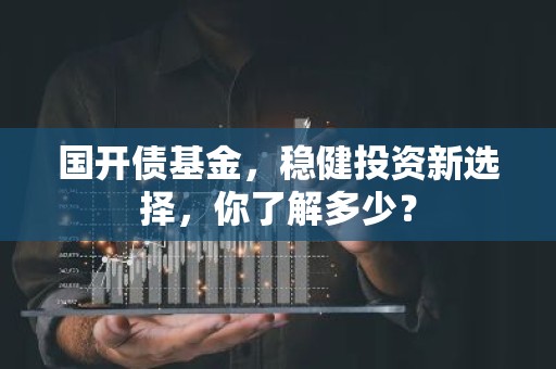 国开债基金，稳健投资新选择，你了解多少？