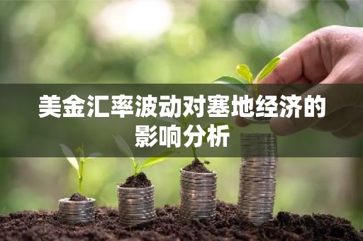 美金汇率波动对塞地经济的影响分析