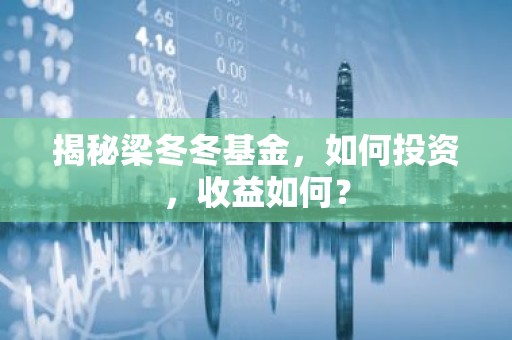 揭秘梁冬冬基金，如何投资，收益如何？