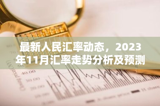 最新人民汇率动态，2023年11月汇率走势分析及预测