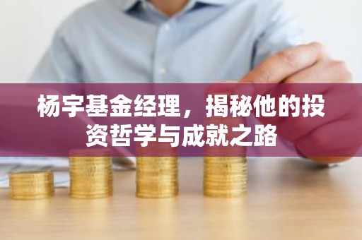杨宇基金经理，揭秘他的投资哲学与成就之路