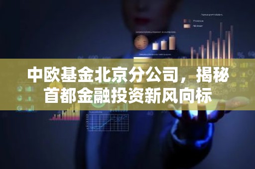 中欧基金北京分公司，揭秘首都金融投资新风向标