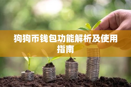 狗狗币钱包功能解析及使用指南