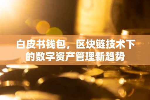 白皮书钱包，区块链技术下的数字资产管理新趋势