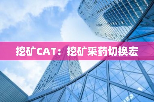 挖矿CAT：挖矿采药切换宏