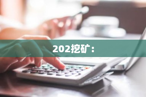 202挖矿：