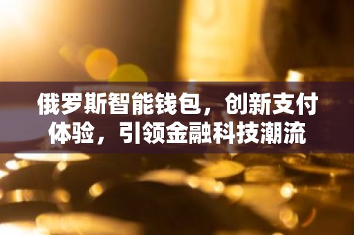 俄罗斯智能钱包，创新支付体验，引领金融科技潮流