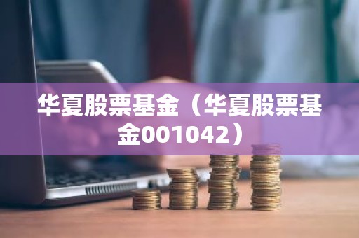 华夏股票基金（华夏股票基金001042）