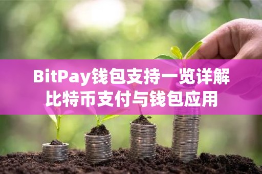BitPay钱包支持一览详解比特币支付与钱包应用