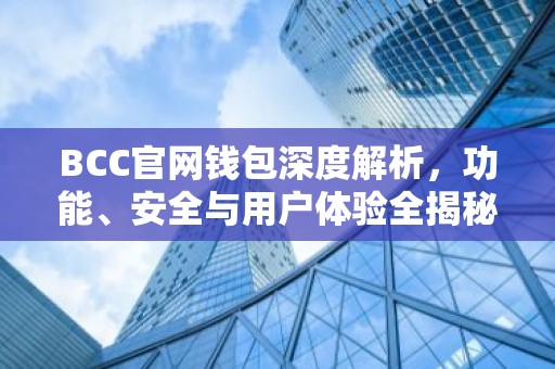 BCC官网钱包深度解析，功能、安全与用户体验全揭秘