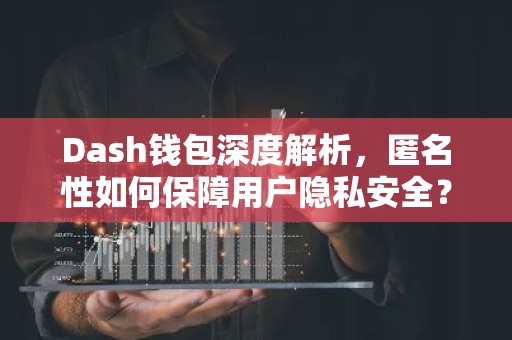 Dash钱包深度解析，匿名性如何保障用户隐私安全？