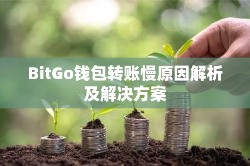 BitGo钱包转账慢原因解析及解决方案