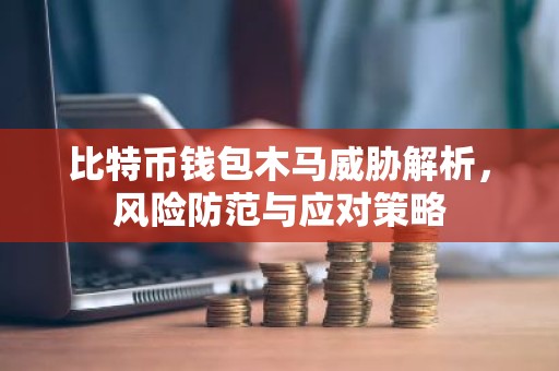 比特币钱包木马威胁解析，风险防范与应对策略