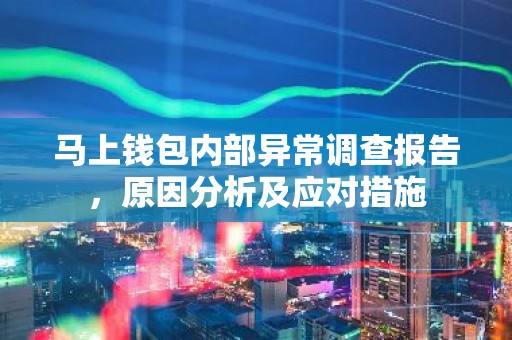 马上钱包内部异常调查报告，原因分析及应对措施