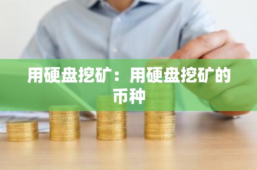 用硬盘挖矿：用硬盘挖矿的币种