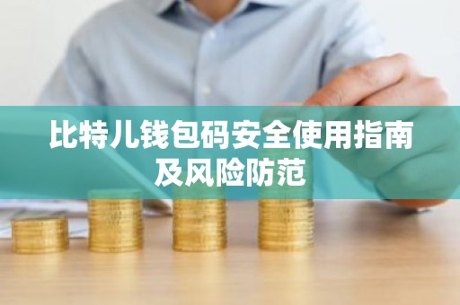 比特儿钱包码安全使用指南及风险防范