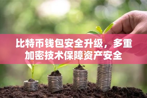 比特币钱包安全升级，多重加密技术保障资产安全