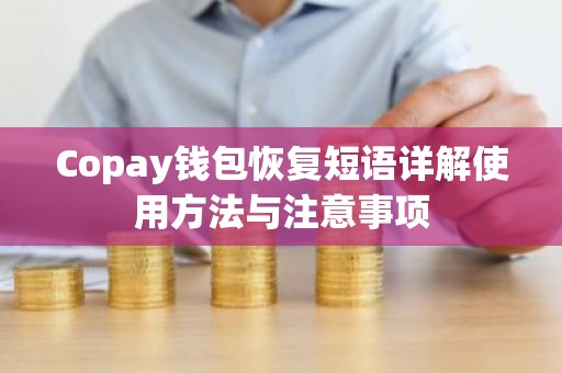 Copay钱包恢复短语详解使用方法与注意事项