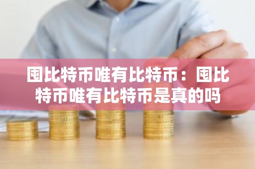 囤比特币唯有比特币：囤比特币唯有比特币是真的吗