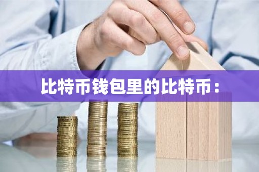 比特币钱包里的比特币：