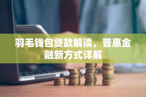 羽毛钱包贷款解读，普惠金融新方式详解