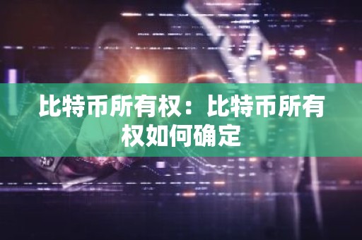 比特币所有权：比特币所有权如何确定