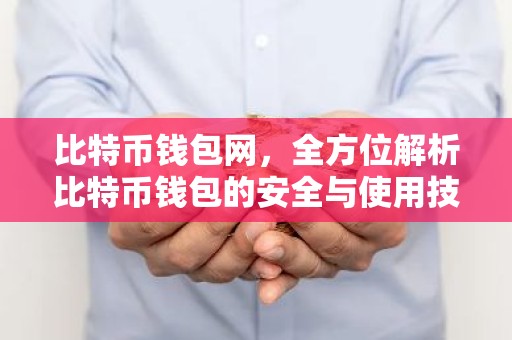 比特币钱包网，全方位解析比特币钱包的安全与使用技巧