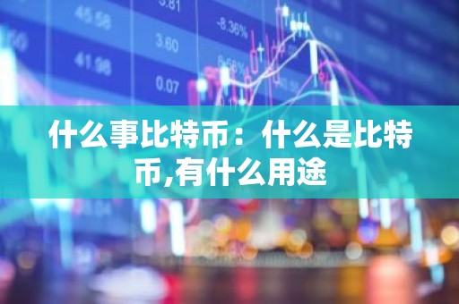 什么事比特币：什么是比特币,有什么用途