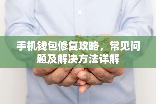 手机钱包修复攻略，常见问题及解决方法详解