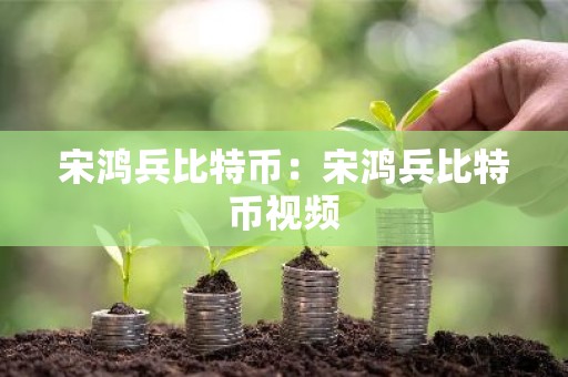 宋鸿兵比特币：宋鸿兵比特币视频
