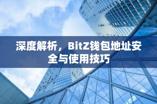 深度解析，BitZ钱包地址安全与使用技巧