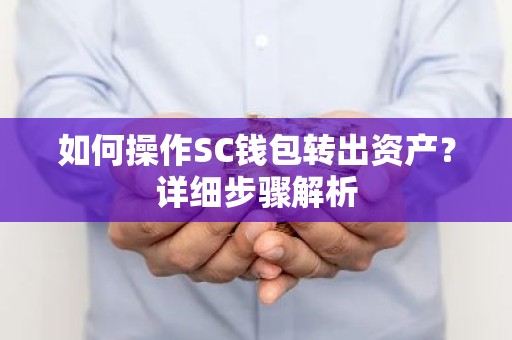 如何操作SC钱包转出资产？详细步骤解析