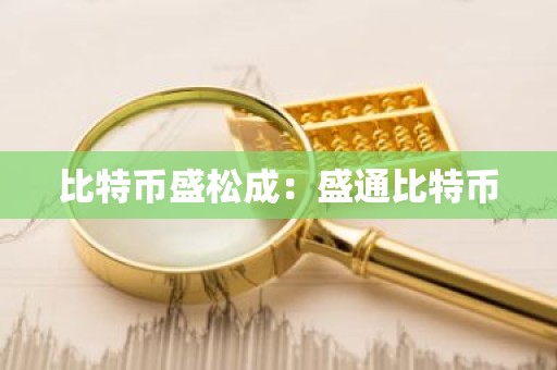 比特币盛松成：盛通比特币