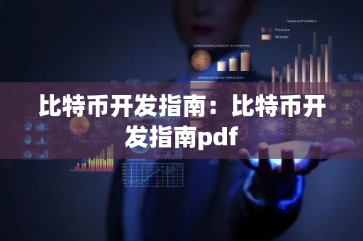 比特币开发指南：比特币开发指南pdf