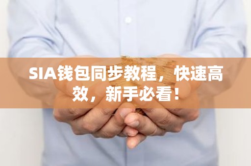 SIA钱包同步教程，快速高效，新手必看！