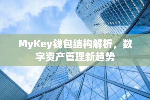 MyKey钱包结构解析，数字资产管理新趋势