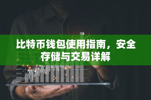 比特币钱包使用指南，安全存储与交易详解