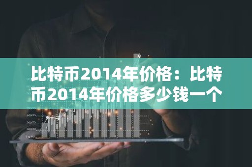 比特币2014年价格：比特币2014年价格多少钱一个