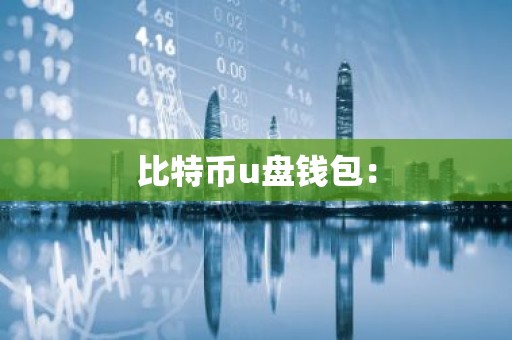 比特币u盘钱包：