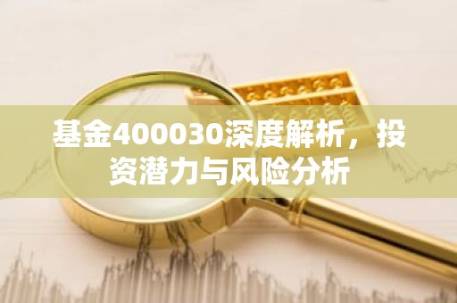 基金400030深度解析，投资潜力与风险分析