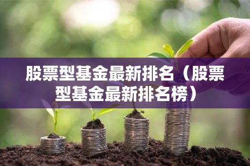 股票型基金最新排名（股票型基金最新排名榜）