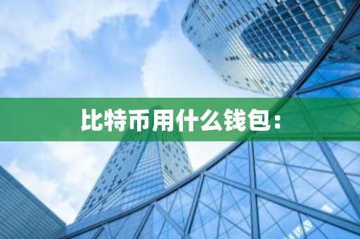 比特币用什么钱包：