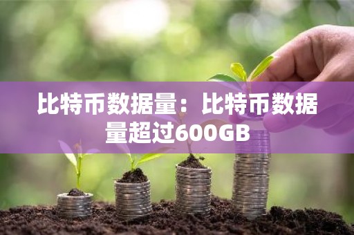比特币数据量：比特币数据量超过600GB