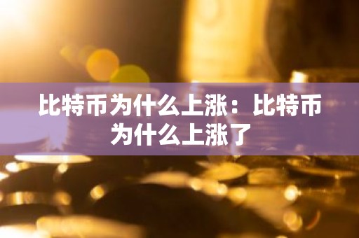 比特币为什么上涨：比特币为什么上涨了