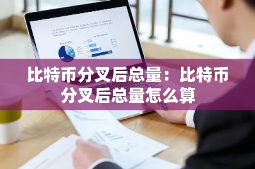 比特币分叉后总量：比特币分叉后总量怎么算